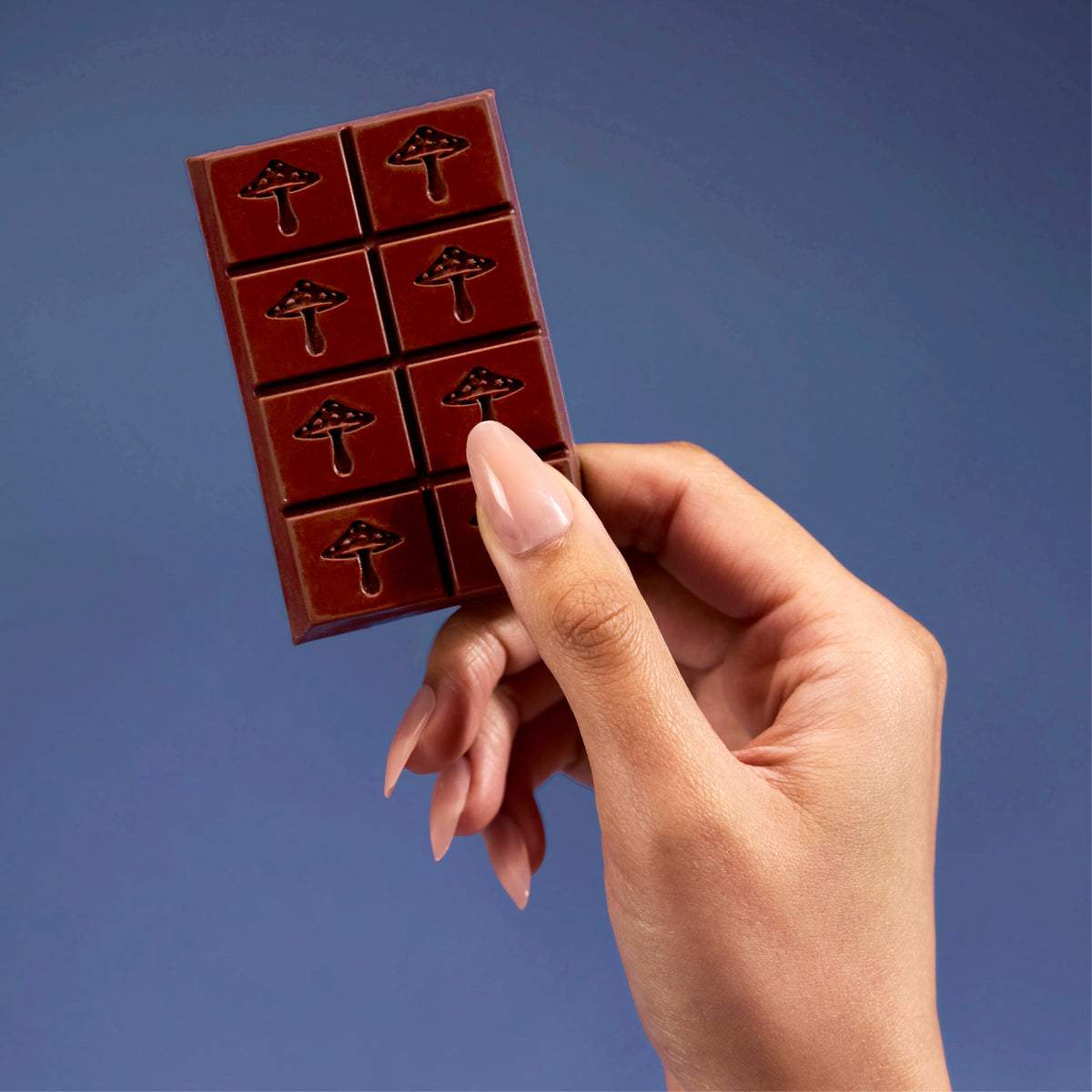 Zen-X Functional Mushroom Chocolates